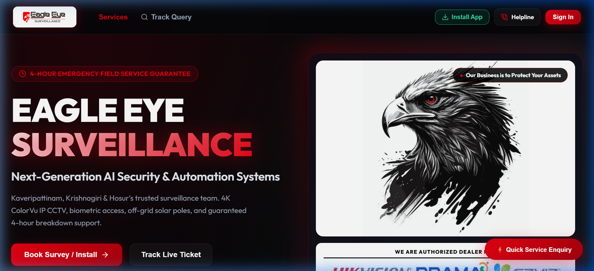 Eagle Eye Surveillance